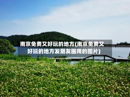 南京免费又好玩的地方(南京免费又好玩的地方发朋友圈用的图片)