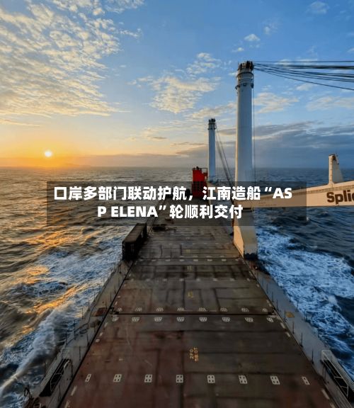 口岸多部门联动护航	，江南造船“ASP ELENA”轮顺利交付-第3张图片