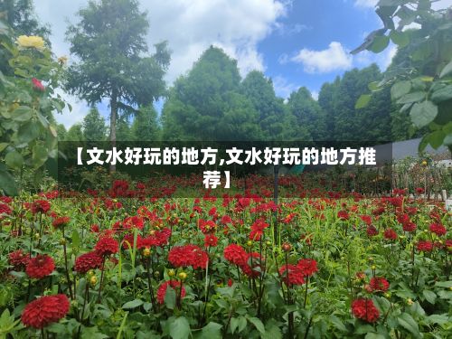 【文水好玩的地方,文水好玩的地方推荐】
