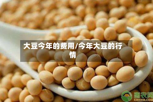 大豆今年的费用/今年大豆的行情