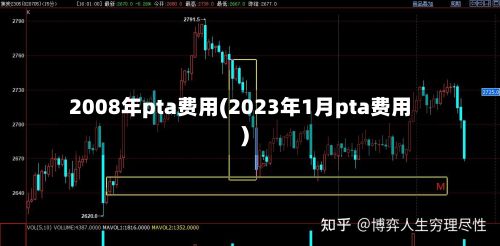 2008年pta费用(2023年1月pta费用)-第3张图片
