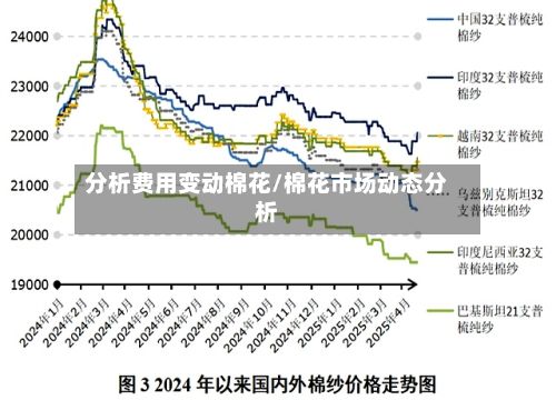 分析费用变动棉花/棉花市场动态分析