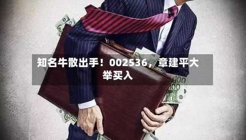 知名牛散出手！002536，章建平大举买入-第2张图片