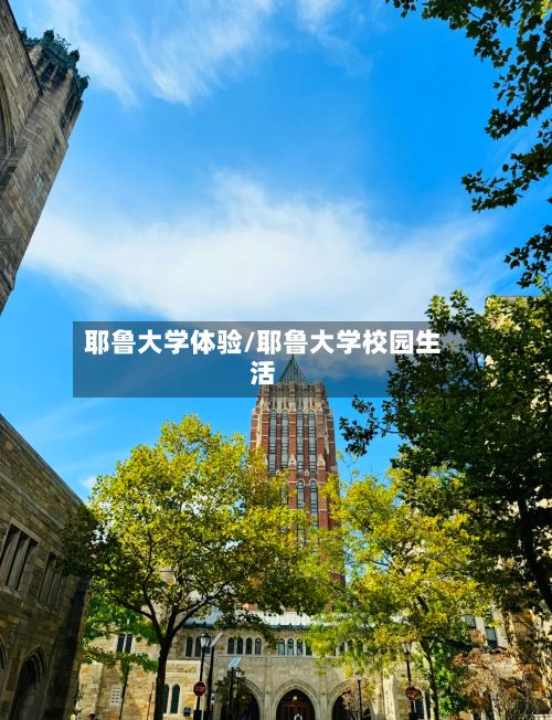 耶鲁大学体验/耶鲁大学校园生活