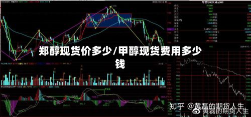 郑醇现货价多少/甲醇现货费用多少钱