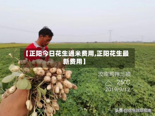 【正阳今日花生通米费用,正阳花生最新费用】