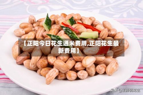 【正阳今日花生通米费用,正阳花生最新费用】-第2张图片
