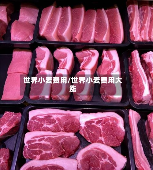 世界小麦费用/世界小麦费用大涨