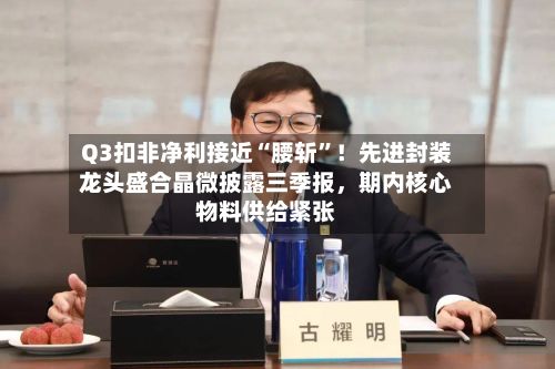 Q3扣非净利接近“腰斩	”！先进封装龙头盛合晶微披露三季报，期内核心物料供给紧张-第2张图片