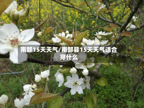 南部15天天气/南部县15天天气适合穿什么-第3张图片