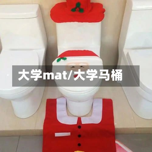 大学mat/大学马桶-第3张图片