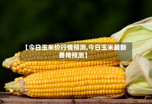 【今日玉米价行情预测,今日玉米最新费用预测】