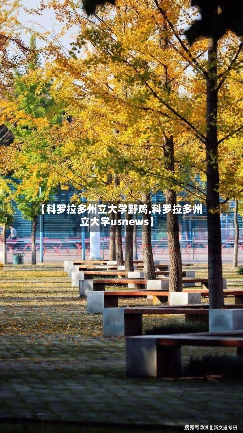 【科罗拉多州立大学野鸡,科罗拉多州立大学usnews】
