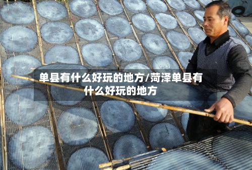 单县有什么好玩的地方/菏泽单县有什么好玩的地方-第2张图片