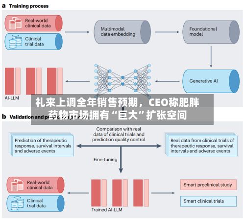 礼来上调全年销售预期，CEO称肥胖药物市场拥有“巨大”扩张空间-第2张图片