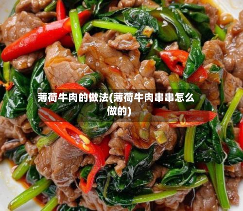 薄荷牛肉的做法(薄荷牛肉串串怎么做的)
