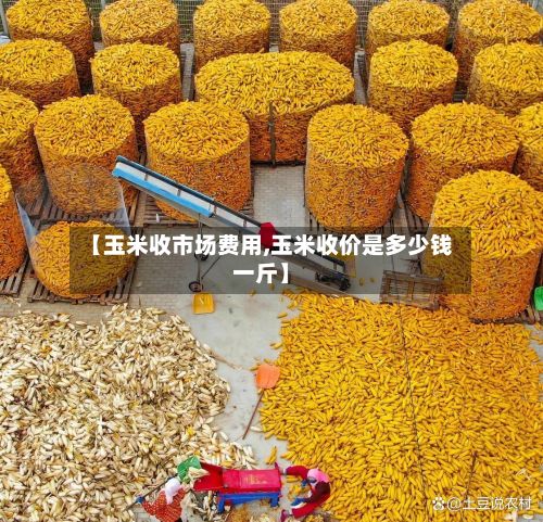 【玉米收市场费用,玉米收价是多少钱一斤】