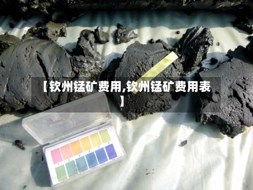 【钦州锰矿费用,钦州锰矿费用表】-第2张图片