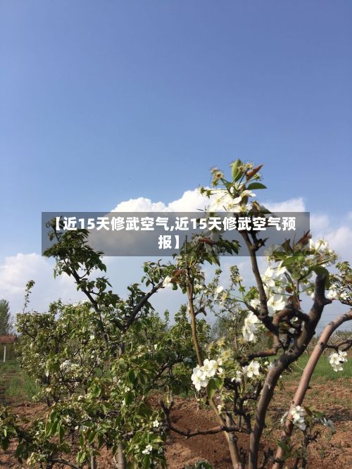 【近15天修武空气,近15天修武空气预报】-第2张图片