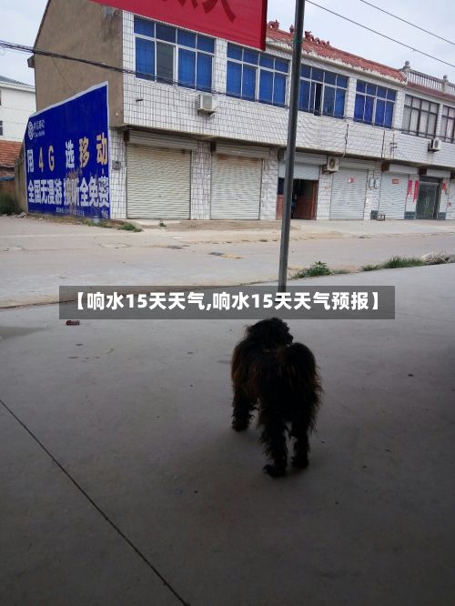 【响水15天天气,响水15天天气预报】-第3张图片