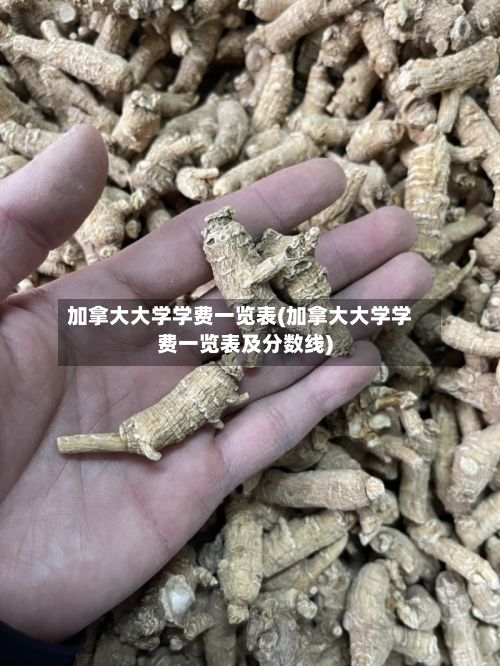 加拿大大学学费一览表(加拿大大学学费一览表及分数线)-第3张图片