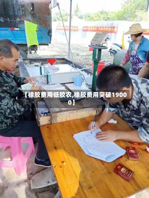 【橡胶费用低胶农,橡胶费用突破19000】-第2张图片