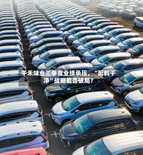 千禾味业三季度业绩承压，“配料干净”战略能否破局？-第3张图片