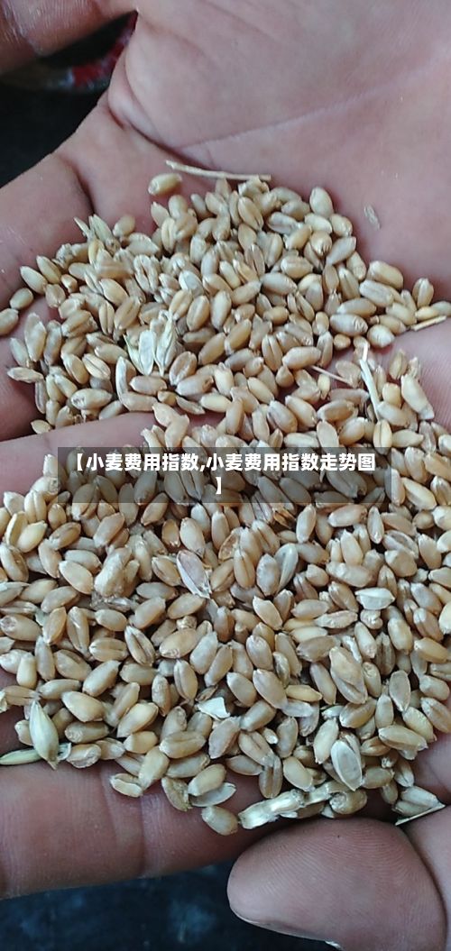 【小麦费用指数,小麦费用指数走势图】