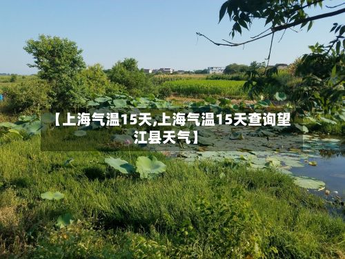 【上海气温15天,上海气温15天查询望江县天气】-第3张图片