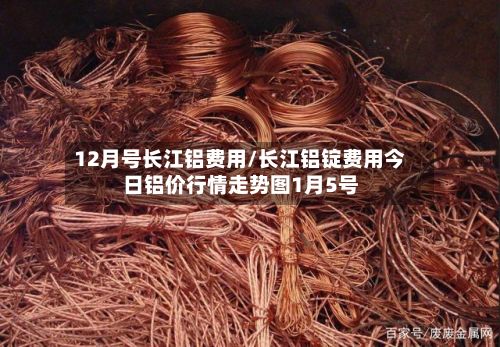 12月号长江铝费用/长江铝锭费用今日铝价行情走势图1月5号