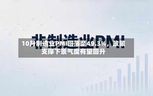 10月制造业PMI回落至49.3%，政策支撑下景气度有望回升-第3张图片