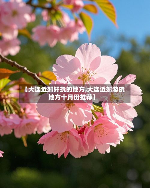 【大连近郊好玩的地方,大连近郊游玩地方十月份推荐】-第2张图片