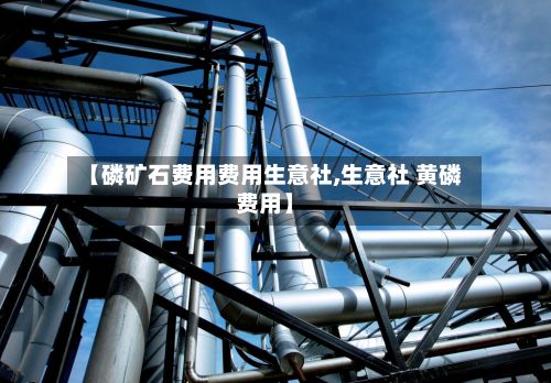 【磷矿石费用费用生意社,生意社 黄磷费用】-第3张图片