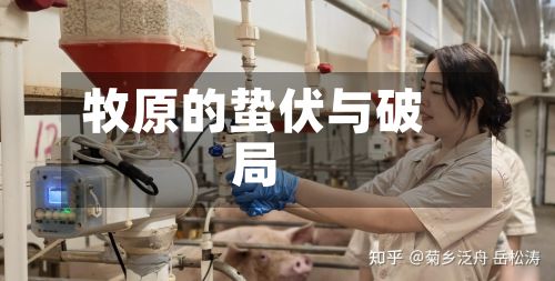 牧原的蛰伏与破局-第1张图片
