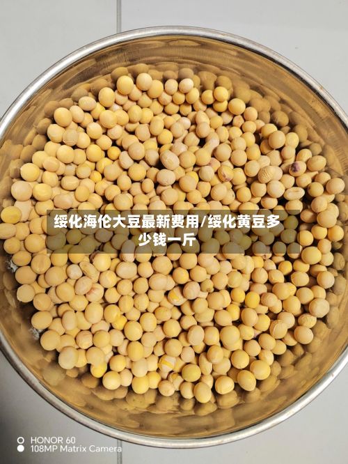 绥化海伦大豆最新费用/绥化黄豆多少钱一斤-第2张图片