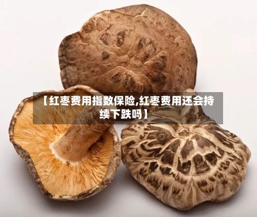 【红枣费用指数保险,红枣费用还会持续下跌吗】-第3张图片