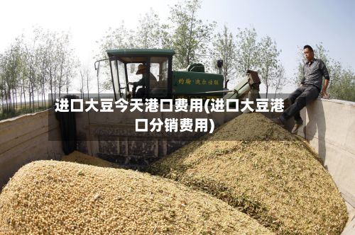 进口大豆今天港口费用(进口大豆港口分销费用)
