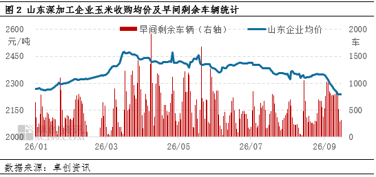 “玉”见未来：华北新季玉米价格持续下跌	，东北产区如何应对？